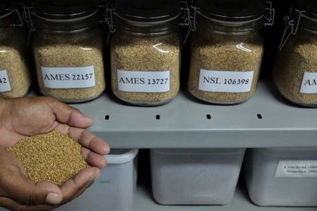 ICBA Marks 25 Years of Innovation in Agricultural Research and Sustainable Development