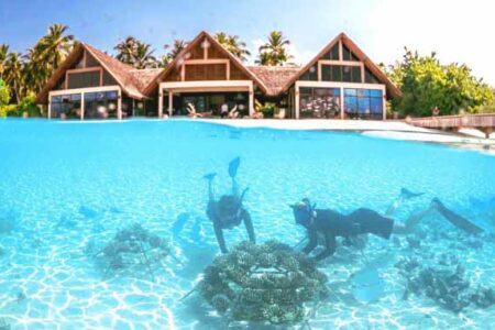 Milestone Moment as Four Seasons Resorts Maldives Plant 9000th Coral Frame