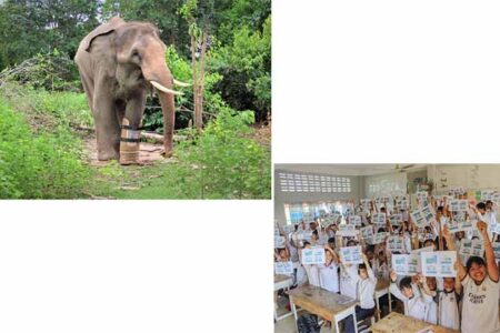 Emirates Park Zoo & Resort in Abu Dhabi to support rescue and rehabilitation of endangered animals in Cambodia