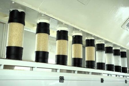 Gautam Rice pioneers’ artificial intelligence technologies to ensure optimum grain uniformity and purity