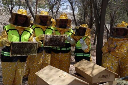 AMWAJ Development Leads the Charge in Biodiversity with “Preserving the Pollinators of the UAE” CSR Initiative